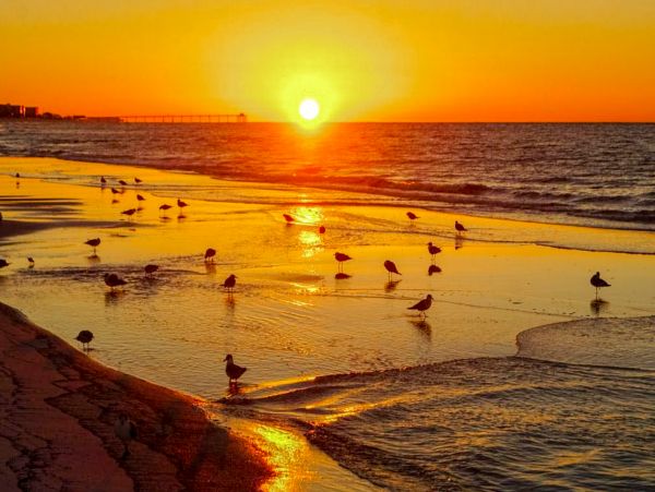 Destin Condo 957368