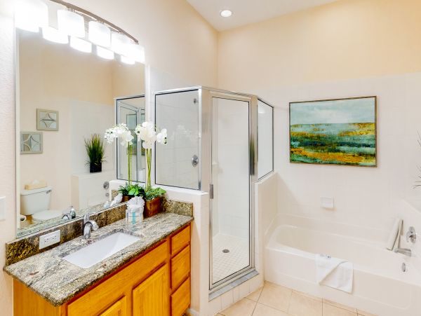 Orlando Home 957416