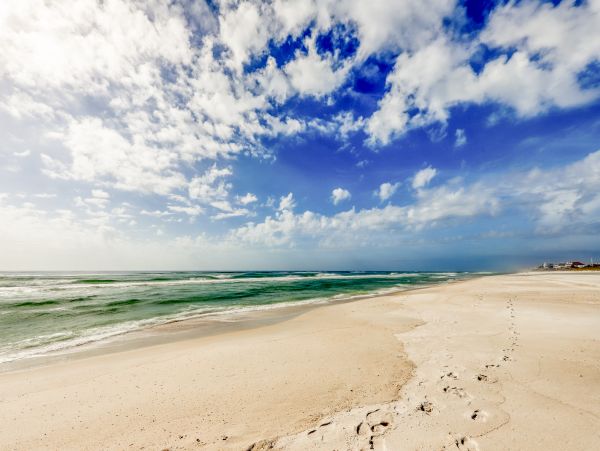 Panama City Beach Condo 957435