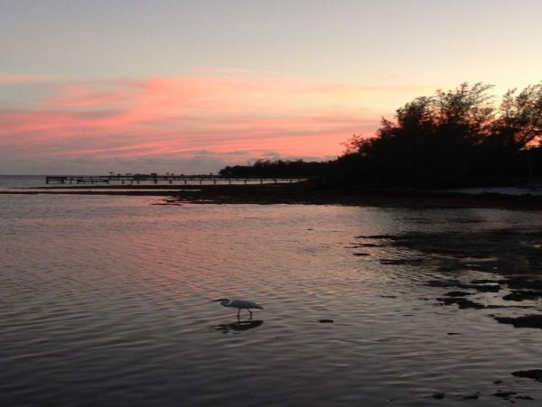 The Florida Keys Home 957568