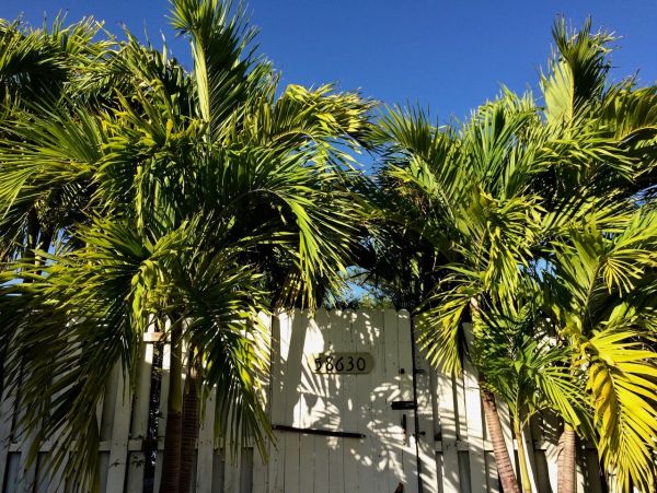 The Florida Keys Home 957575