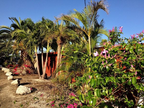 The Florida Keys Home 957575