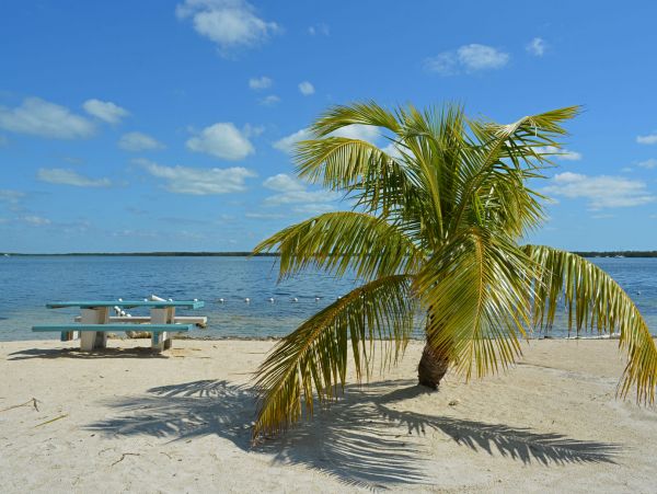 The Florida Keys Home 957576