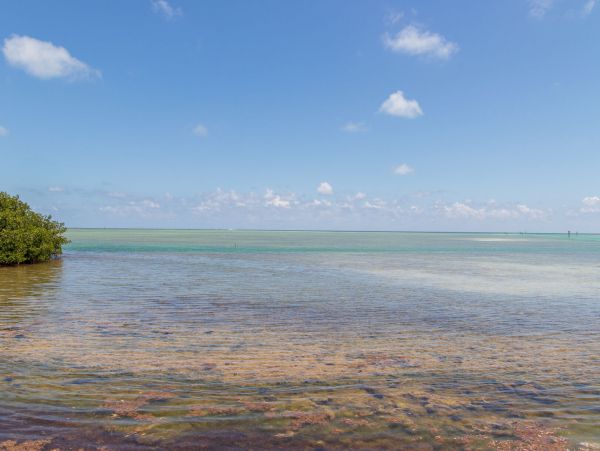 The Florida Keys Condo 957583