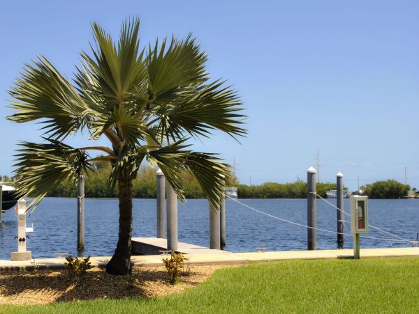 The Florida Keys Condo 957586