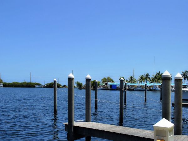 The Florida Keys Condo 957588