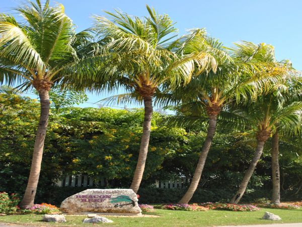 The Florida Keys Condo 957590