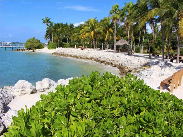 The Florida Keys Home 957656