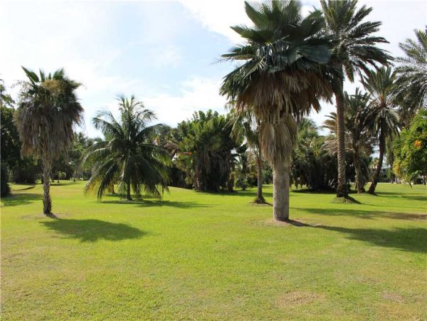 The Florida Keys Home 957656