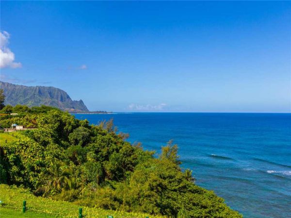 Princeville Condo 957665