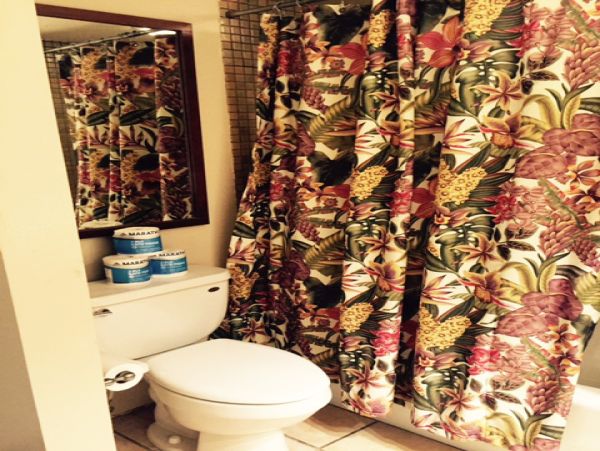 Princeville Condo 957666
