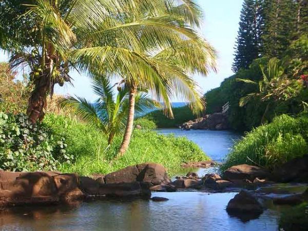 Princeville Home 957668