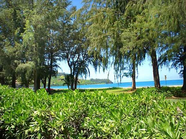 Hanalei Home 957669