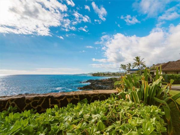 Two Bedroom Vacation Condo World Class Location