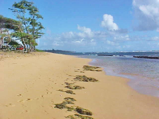Princeville Home 957675
