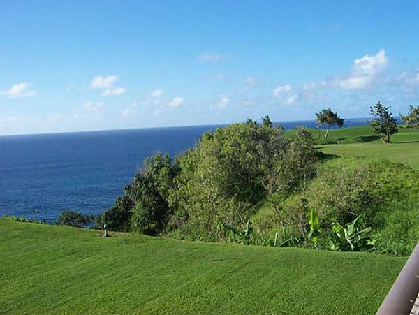 Princeville Condo 957680