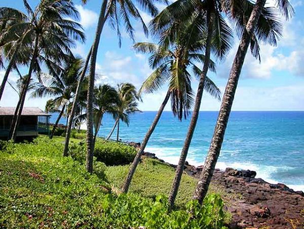 Princeville Condo 957683