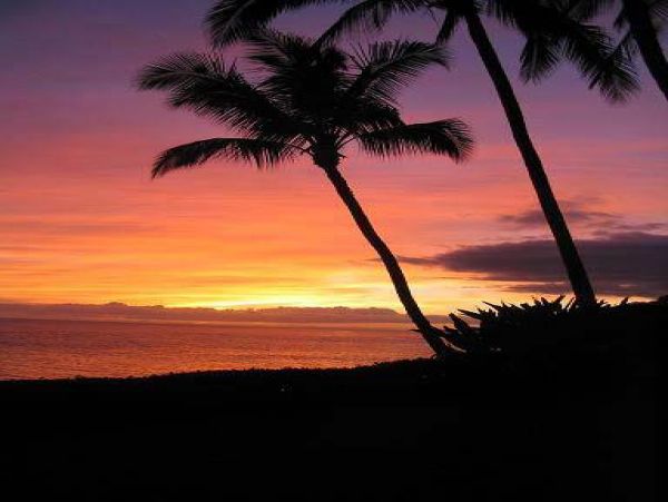 Princeville Condo 957683
