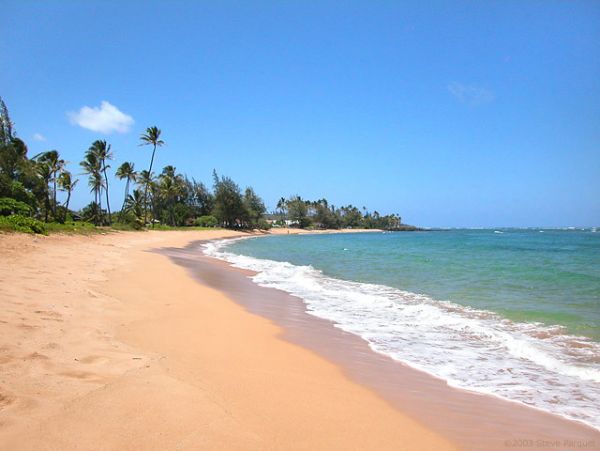 Princeville Condo 957685
