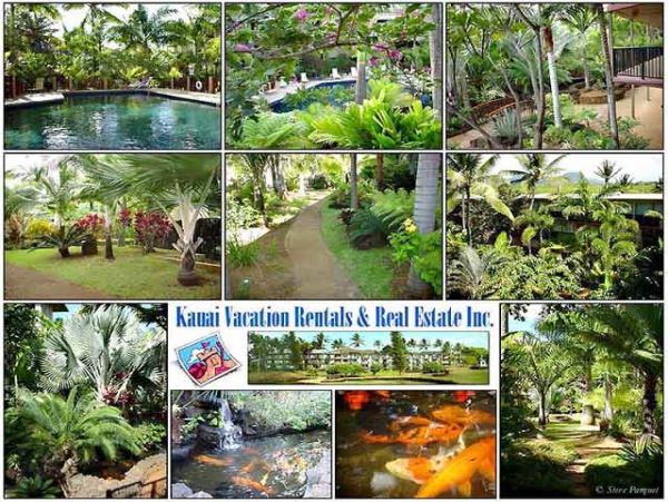 Princeville Condo 957688
