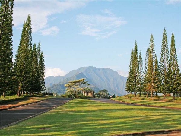 Princeville Condo 957697