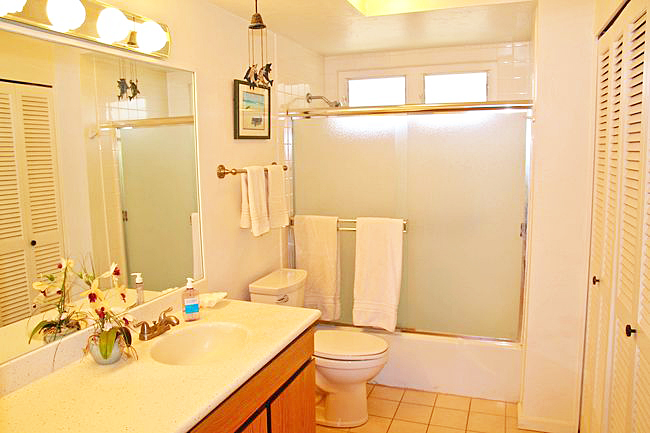 Princeville Condo 957699