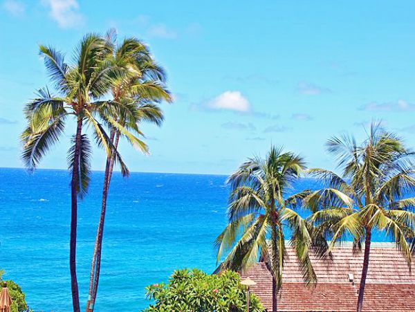 Princeville Condo 957699