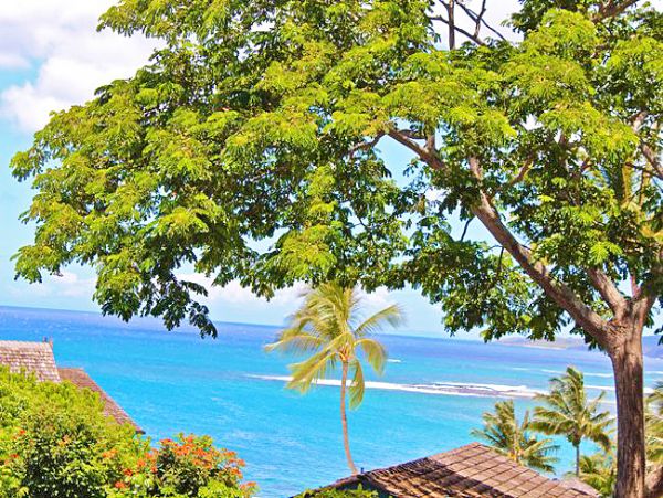 Princeville Condo 957699