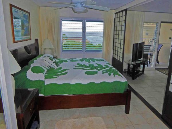 Princeville Condo 957700