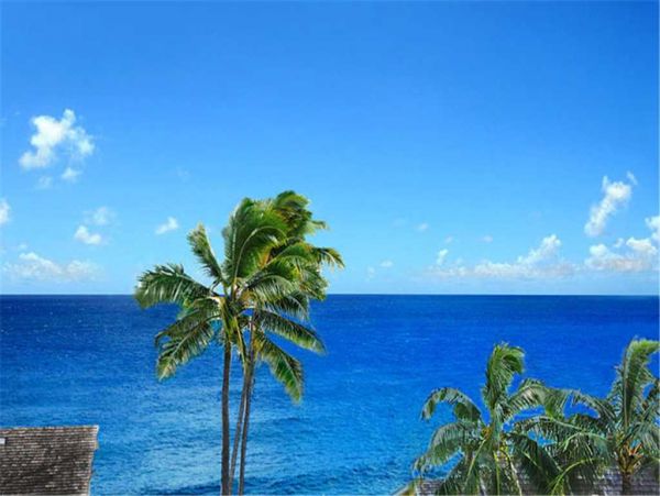 Princeville Condo 957701