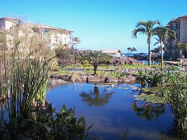 Princeville Condo 957707