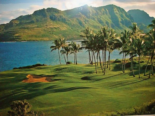 Princeville Condo 957713