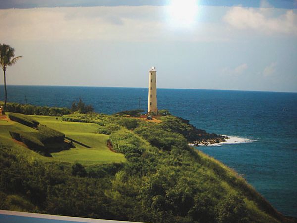 Princeville Condo 957713