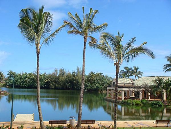 Princeville Condo 957713