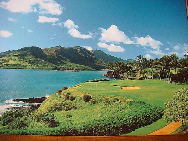 Princeville Condo 957713
