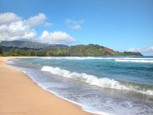Hanalei Home 957714