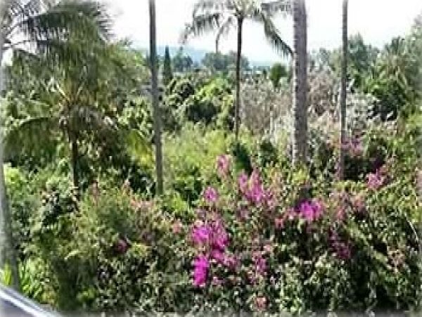 Princeville Condo 957721