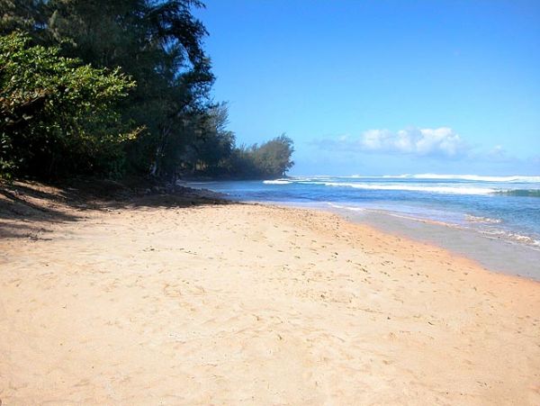Princeville Home 957727