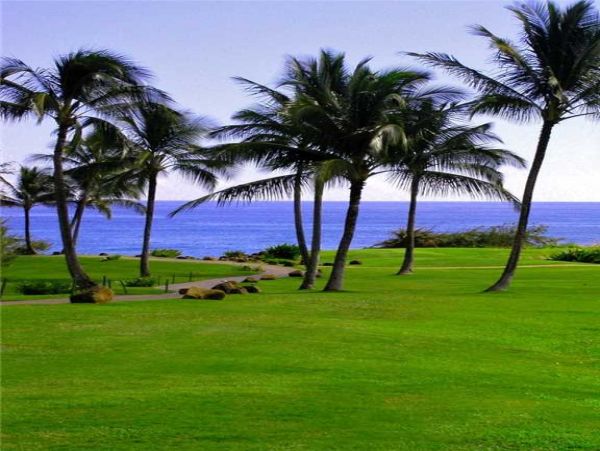 Princeville Home 957734