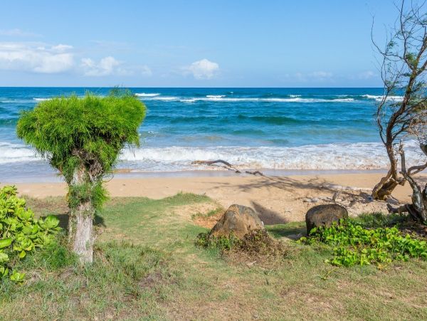 Kauai Oceanfront Vacation Rental Wailua Beachfront Condo with Lanai & Pool