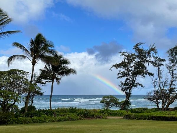 Kauai Oceanfront Vacation Rental Wailua Beachfront Condo with Lanai & Pool