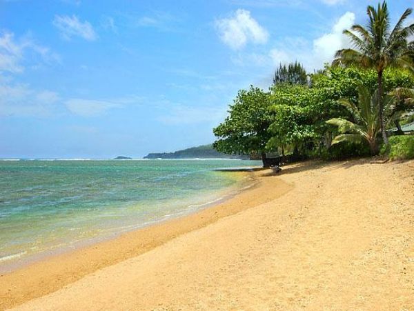 Beachfront Dream, 3Bed3Bath