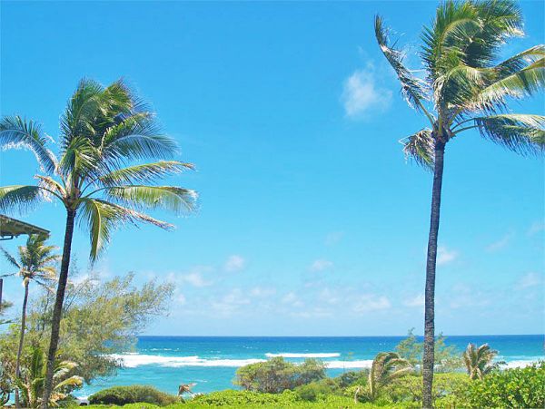 Princeville Condo 957748