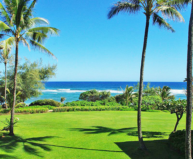 Princeville Condo 957748