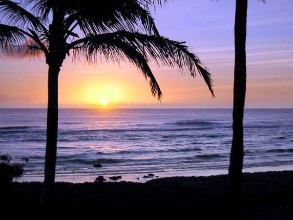 Princeville Condo 957776