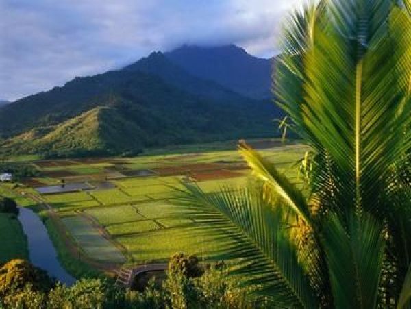 Princeville Home 957777