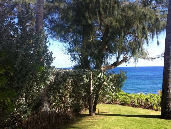 Three Bedroom Oceanfront Home in Kauai