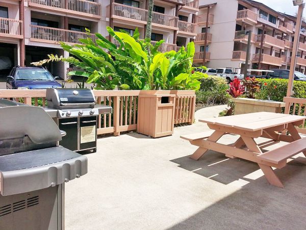 Princeville Condo 957779