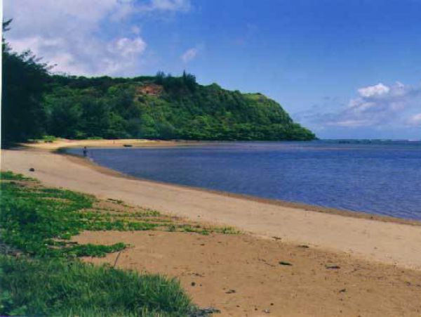 Princeville Home 957781