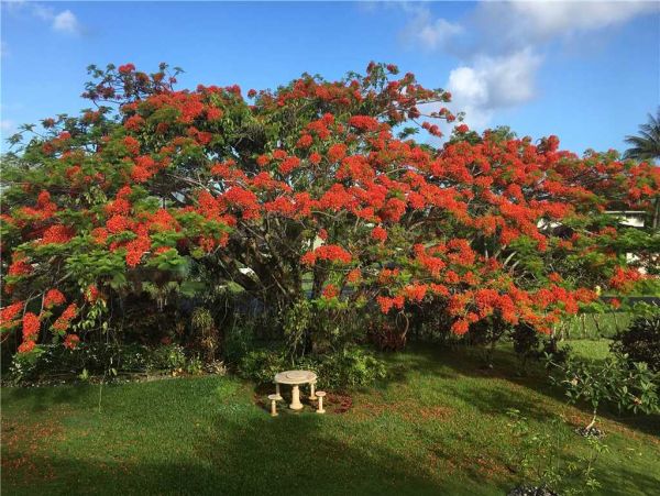 Princeville Luxury Vacation Rental  Kauai North Shore Vacation Home with Pool & Tennis